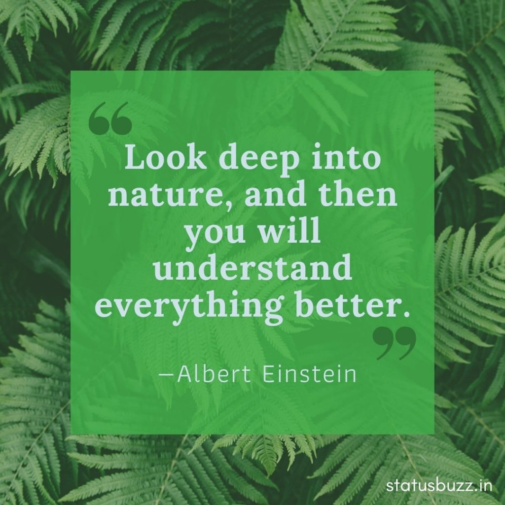 nature quotes (1)