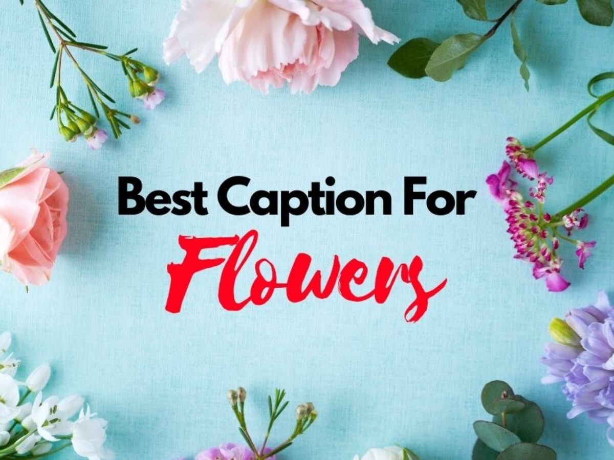 85+ Best Quotes & Caption For Flowers Photo | StatusBuzz