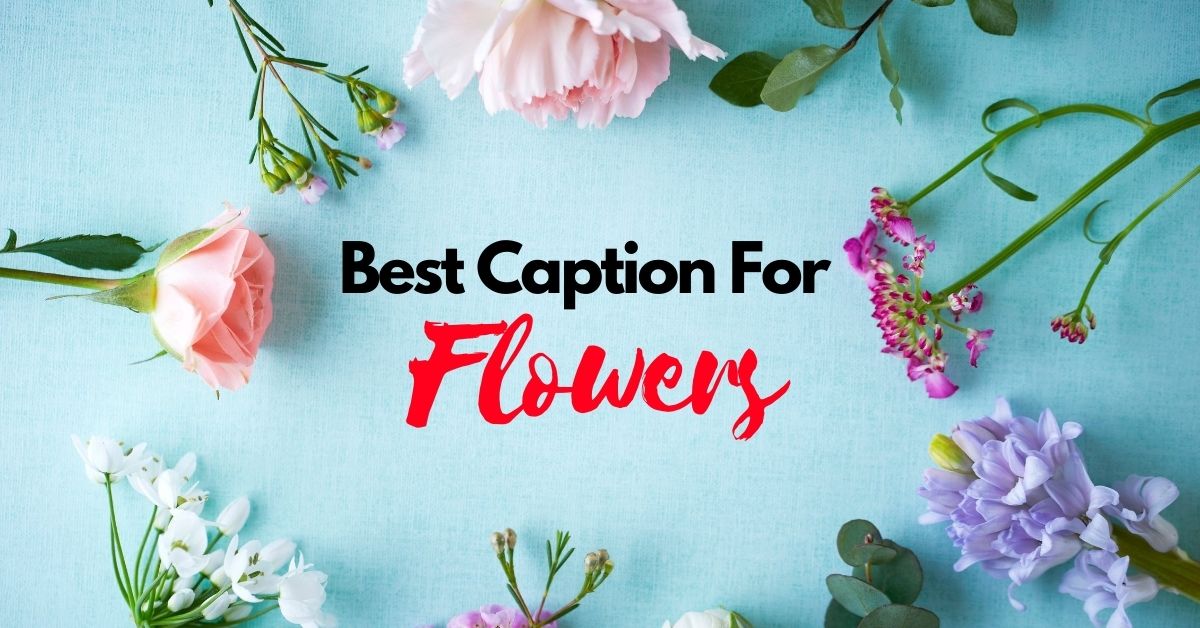 best captions for flowers