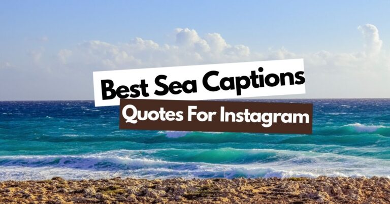 80 Best Sea Captions Quotes For Instagram StatusBuzz