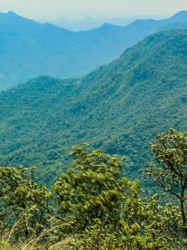 Best Mountain Captions For Instagram StatusBuzz