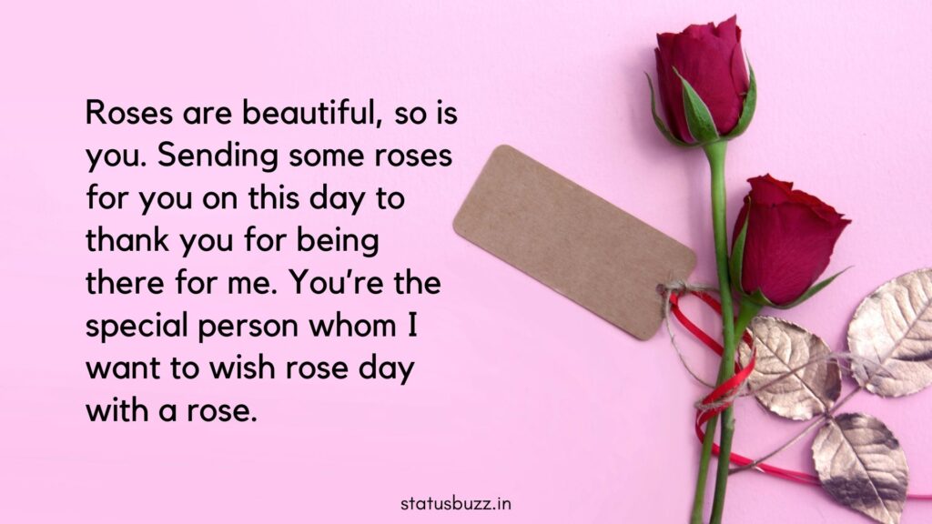 rose day wishes (1)