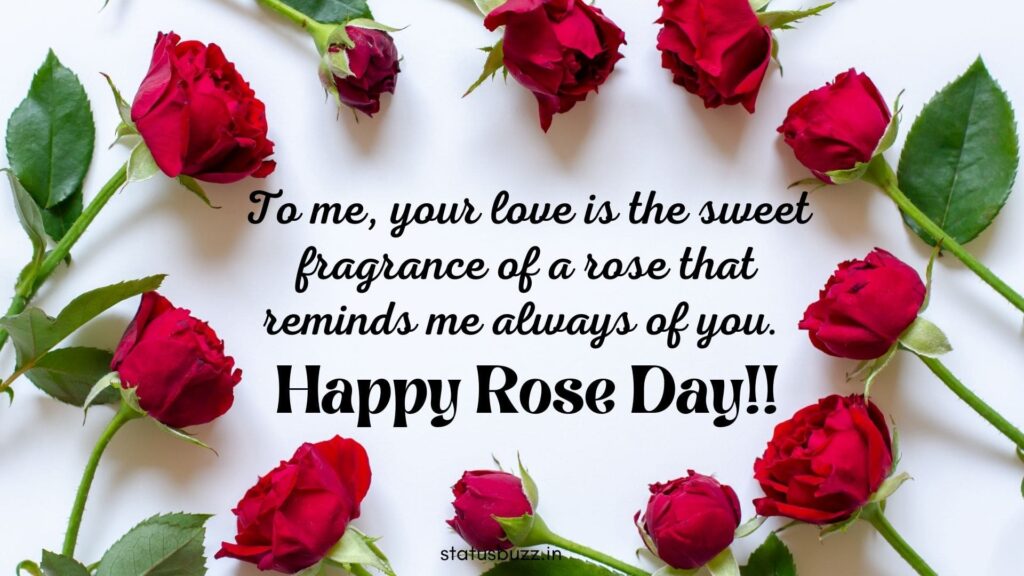 rose day wishes (11)