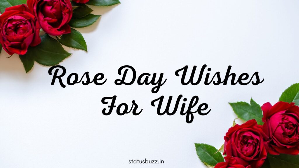 rose day wishes (13)