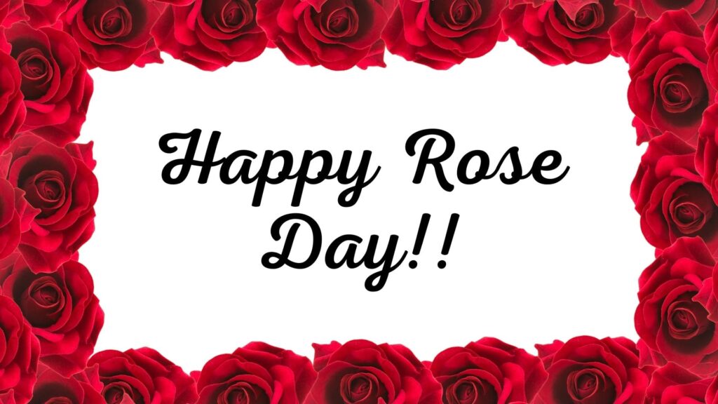 rose day wishes (8)