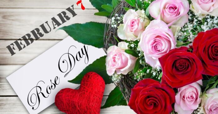 rose day wishes and messages