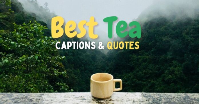 Best tea captions and quotes