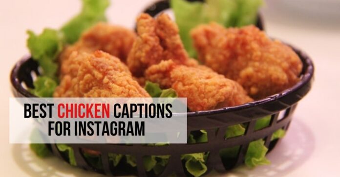best chicken captions for instagram