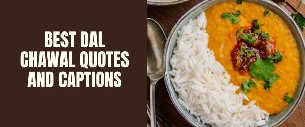 best dal chawal captions and quotes