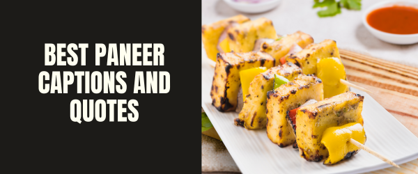 BEST PANEER CAPTIONS AND QUOTES