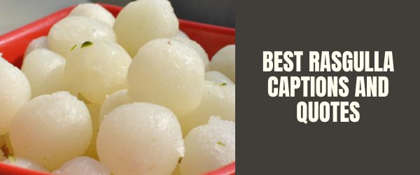 BEST RASGULLA CAPTIONS AND QUOTES