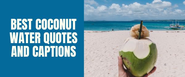 BEST COCONUT WATER QUOTES AND CAPTIONS