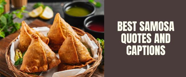BEST SAMOSA QUOTES AND Captions