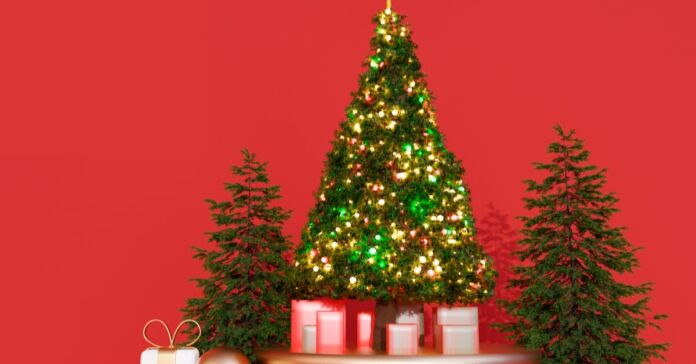 Comprehensive Guide to Choosing the Perfect Christmas Tree