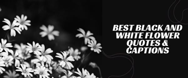 Black And White Flowers Captions