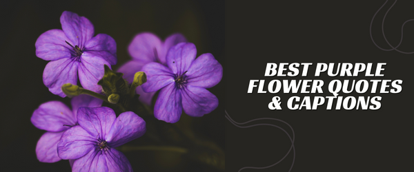 Best Purple Flower Quotes & Captions