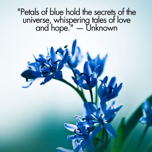 blue flower quotes