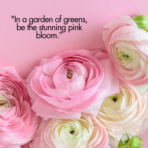 captions for pink flowers