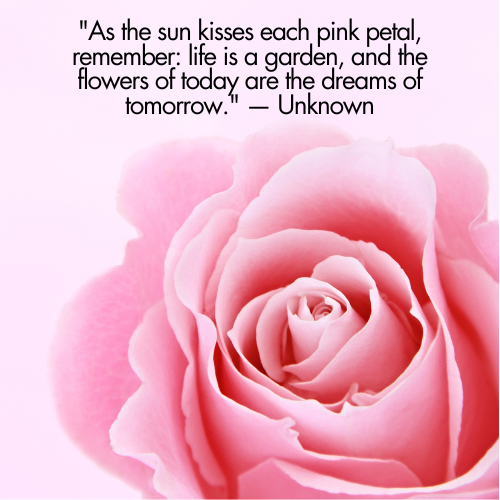 pink flowers quotes for instagram