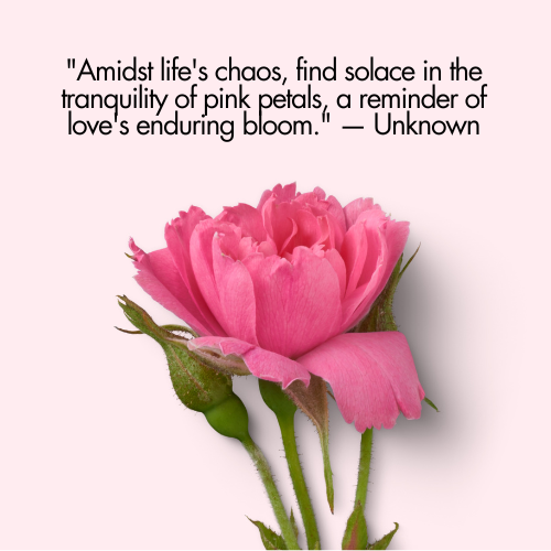 pink flowers quotes