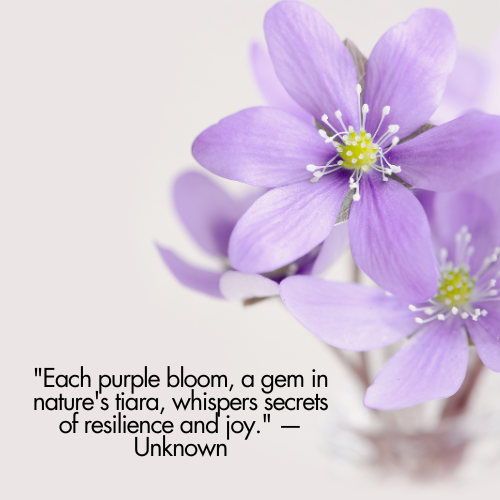 purple flower captions