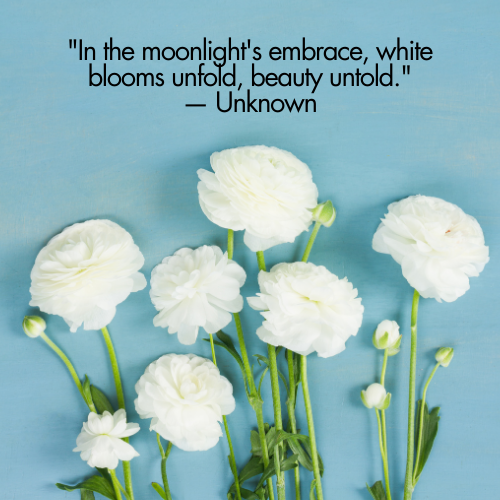 white flower quotes for instagram