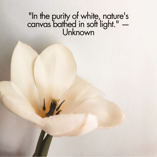 white flower quotes