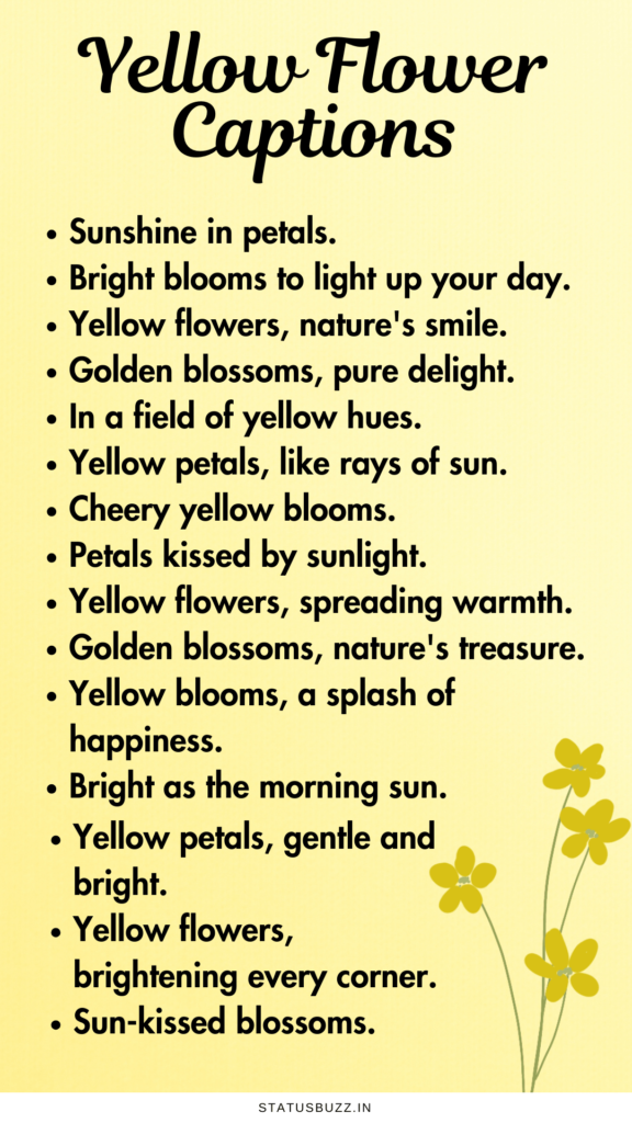 yellow flower captions
