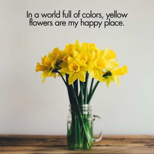yellow flower captions
