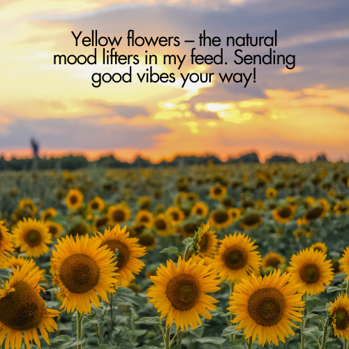 yellow flower quotes