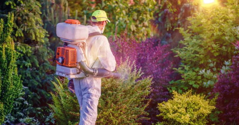 30+ Famous Pest Control Quotes & Taglines - StatusBuzz