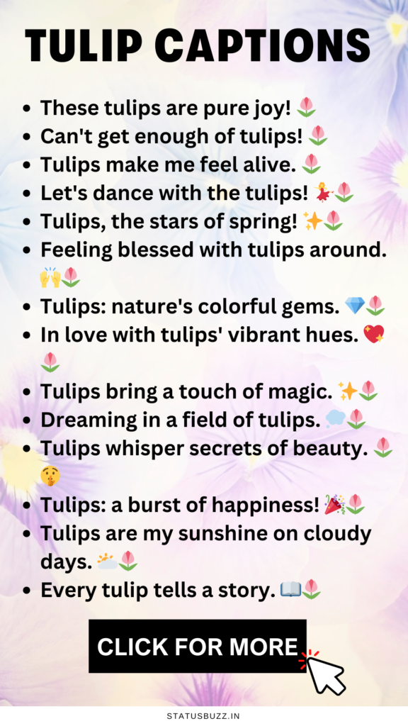 tulip captions