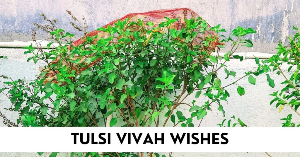 Tulsi Vivah Wishes