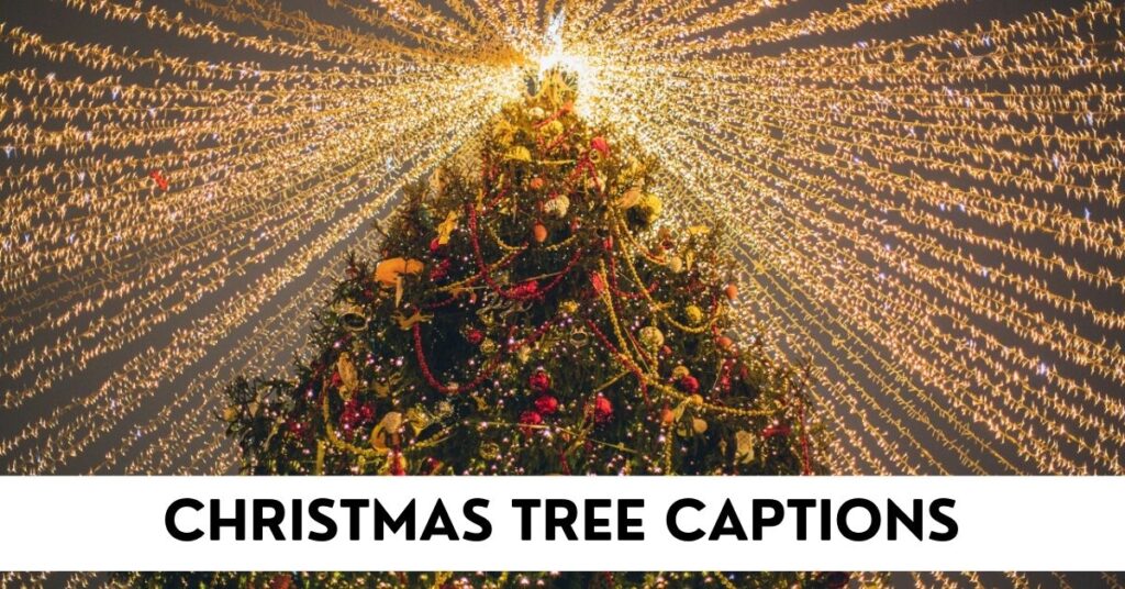 Christmas Tree Captions