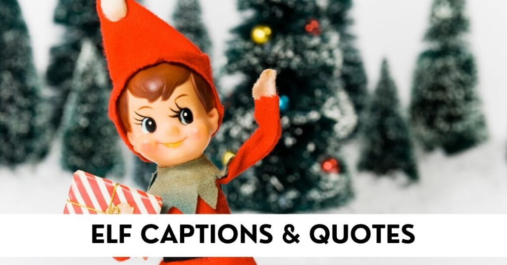 Elf Captions