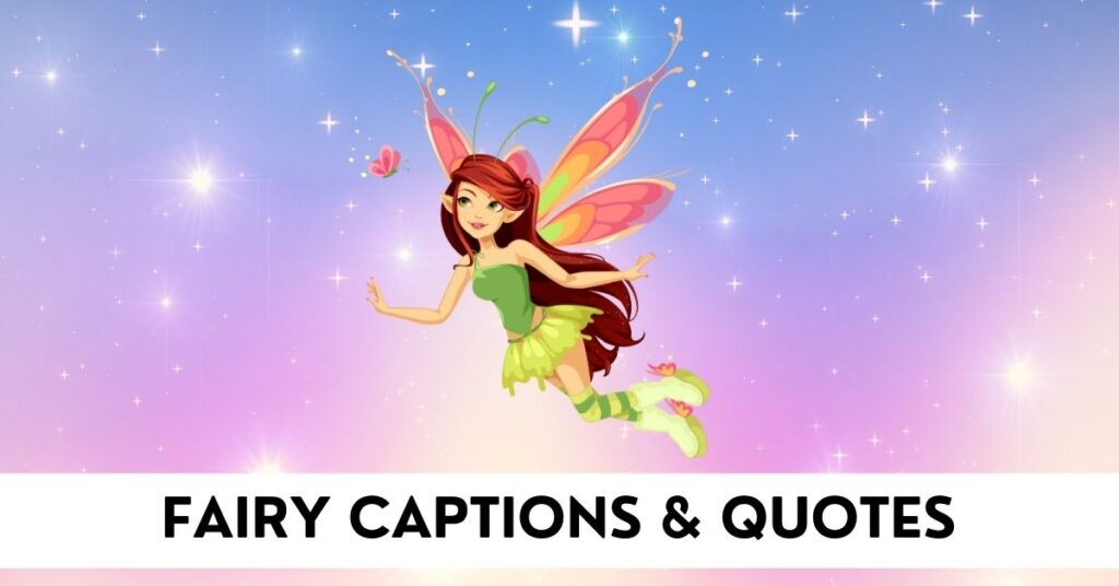 Fairy Captions