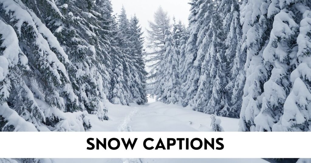 Snow Captions
