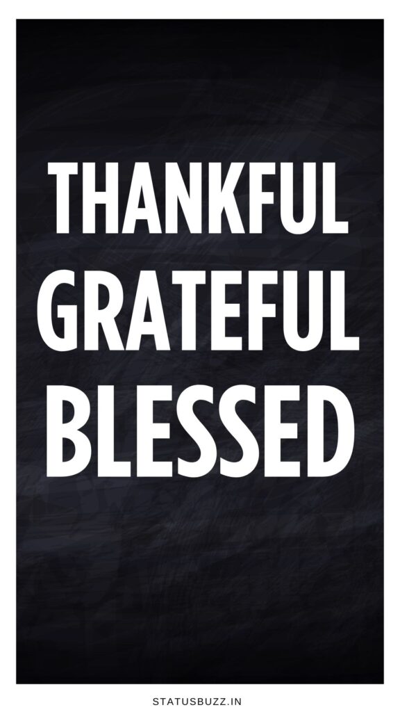 thanksgiving letter board quotes