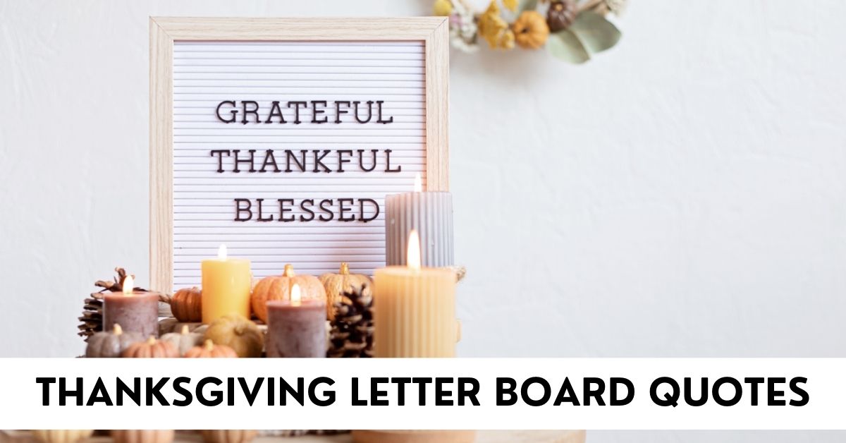 Thanksgiving Letter Board Quotes