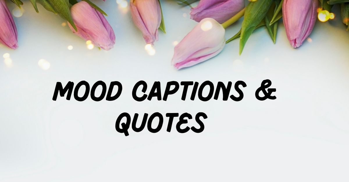 Mood Captions