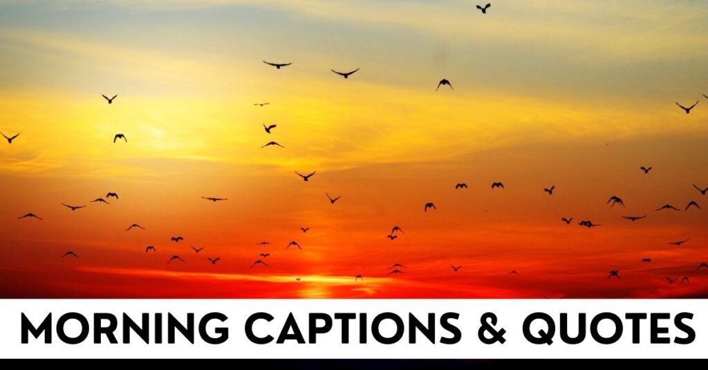 Morning Captions