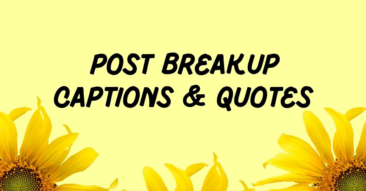 Post Breakup Captions