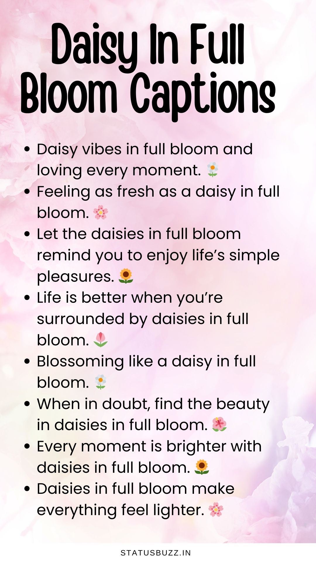 120+ Daisy Captions & Quotes For Instagram StatusBuzz(00)