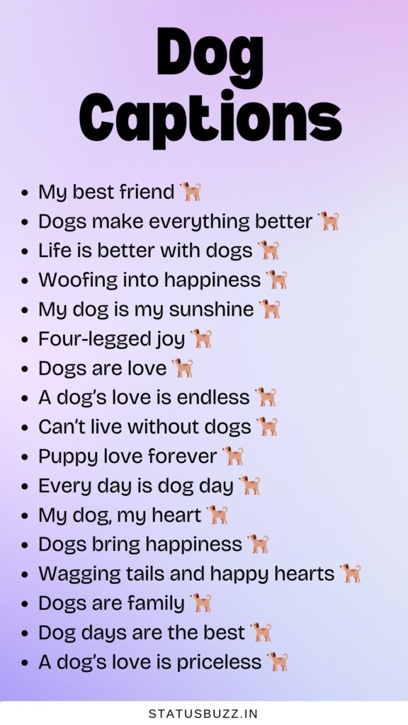 dog captions