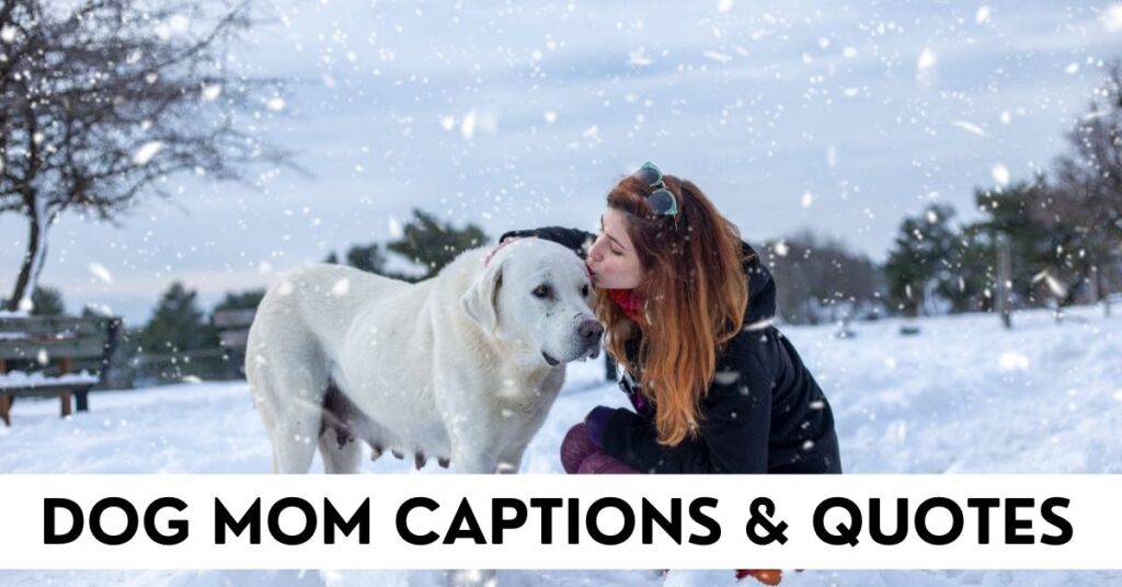 Dog Mom Captions
