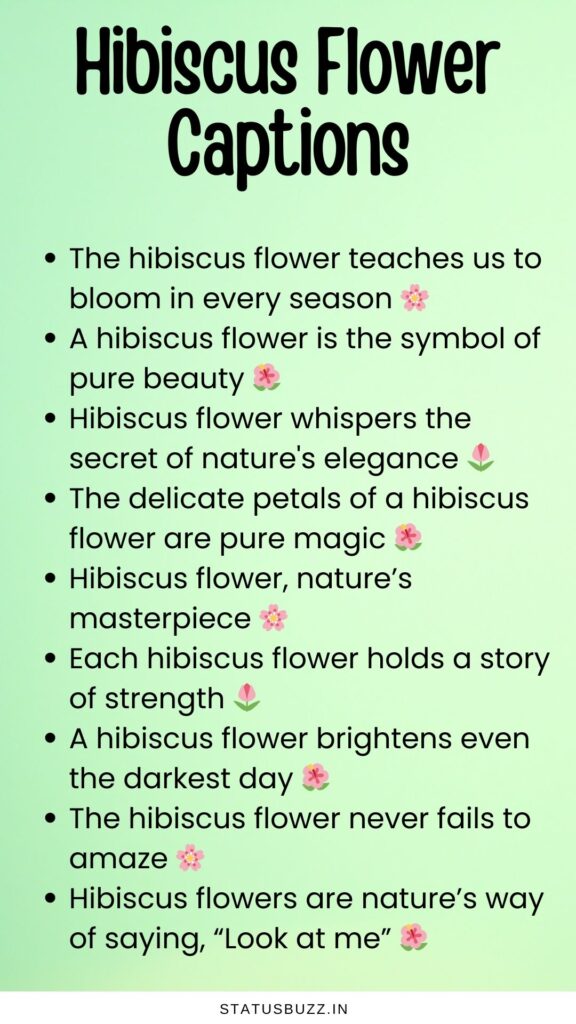 hibiscus flower captions