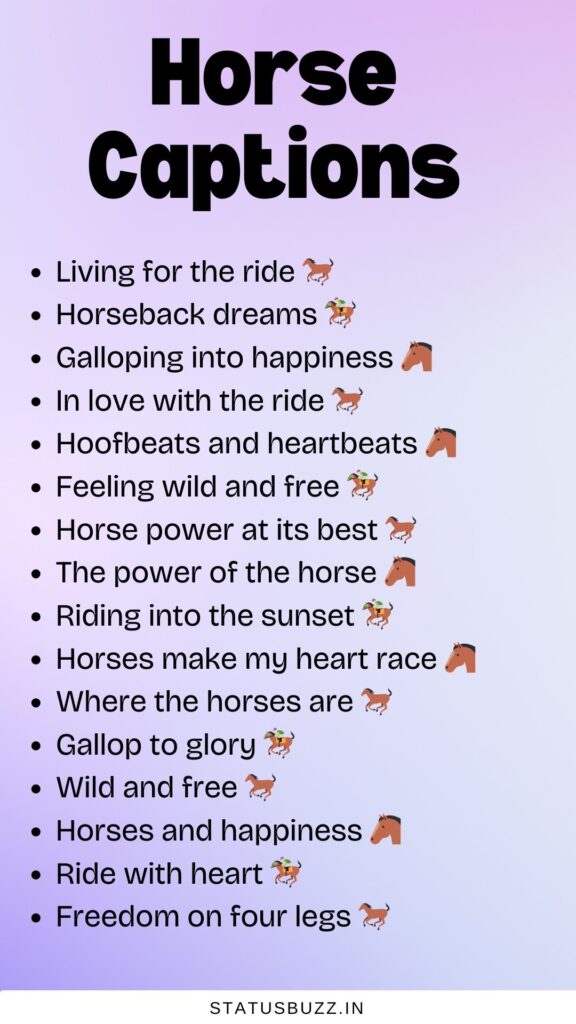 horse captions