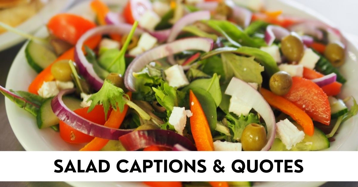 Salad Captions