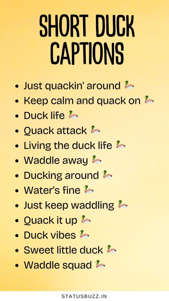 short duck captions