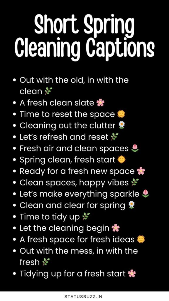 short spring cleaning captions